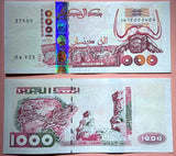 Algeria 1000 Dinars, 1998 P-142, Original Banknote for Collection , VF Condition