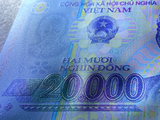 Vietnam 20000 Dong, Random Year, UNC Polymer Banknote for Collection
