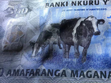 Rwanda 500 Francs, 2013 P-38, UNC Original Banknote for Collection
