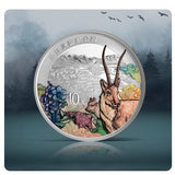 China, 2023, Silver Coin, Giant Panda National Park and Three-River-Source National Park Coins, Commemorative Original Coin