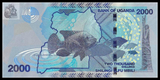 Uganda, 2000 Shillings, 2010, P-50, UNC Original Banknote for Collection