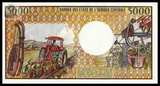 Chad, 5000 Francs, 1984, P-11, AUNC Original Banknote for Collection