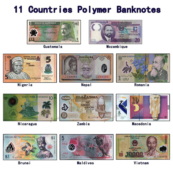 Mixed Banknotes – Panda Banknote