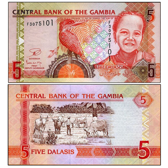 Gambia 5 Dalasis 2013 P-25 UNC Original Banknote