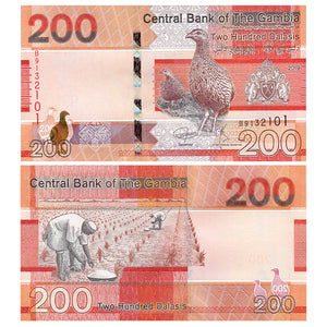 Gambia, 200 Dalasis, 2019 P-42, UNC Original Banknote for Collection