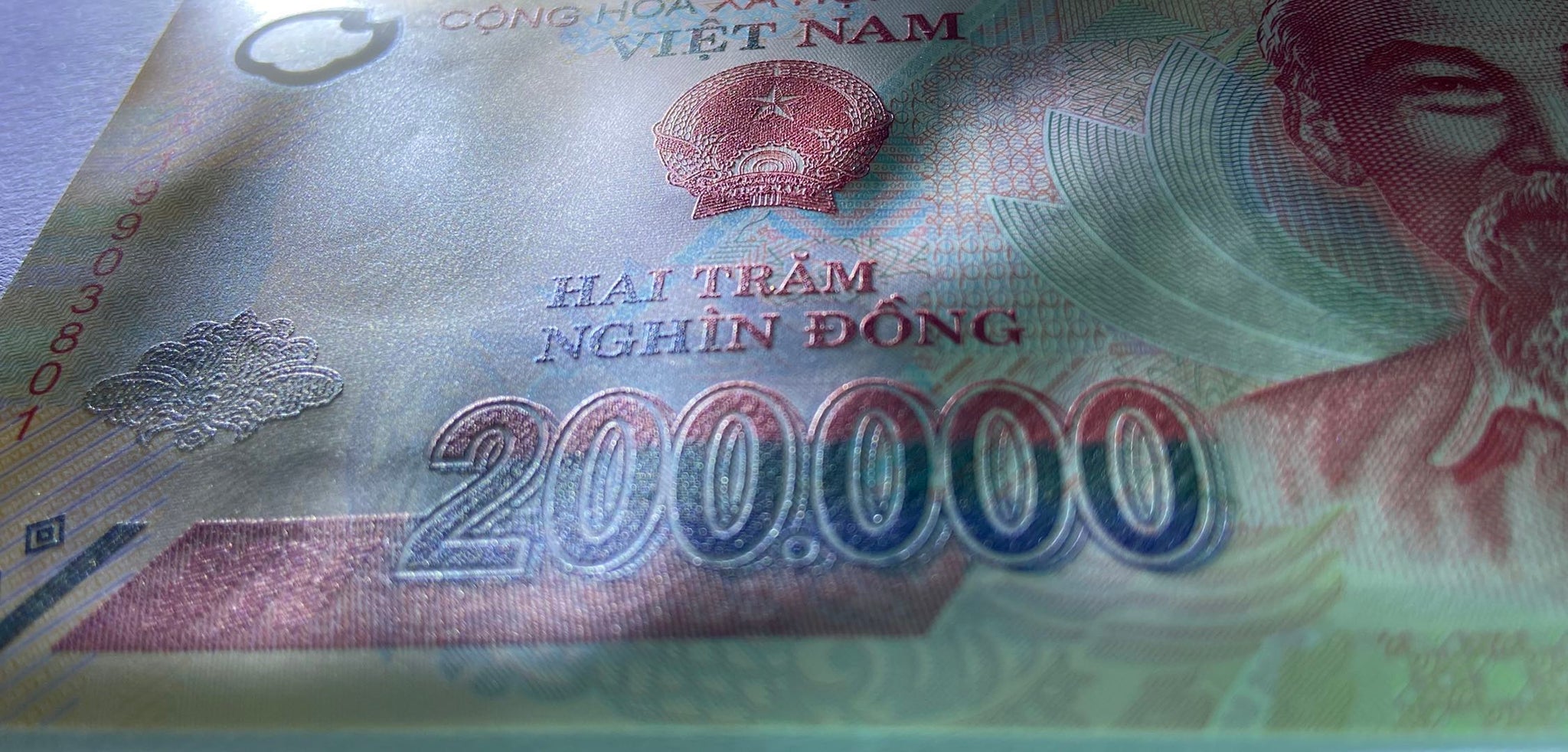 Vietnam 200000 Dong, Random Year, UNC Polymer Banknote for Collection 1  Piece – Panda Banknote