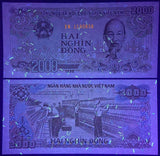 Vietnam 2000 Dong, 100 PCS Full Bundle, Banknote for Collection, Random Year