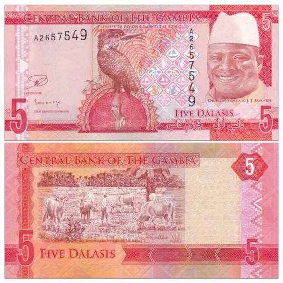 Gambia 5 Dalasis, 2014-2015, UNC Original Banknote for Collection