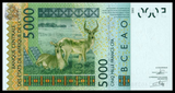 Ivory Coast, 5000 Francs, 2003, P-117Aa, UNC Original Banknote for Collection